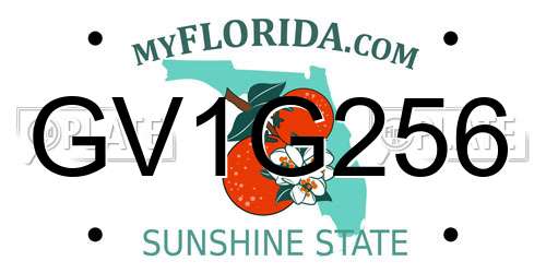 GV1G256 Florida License Plate