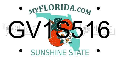 GV1S516 Florida License Plate