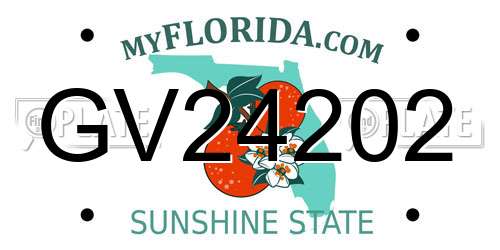 GV24202 Florida License Plate