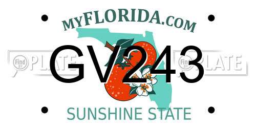 GV243 Florida License Plate