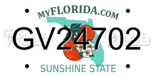 GV24702 Florida License Plate