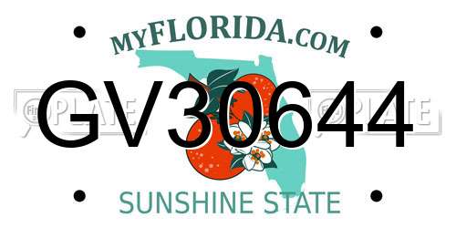 GV30644 Florida License Plate