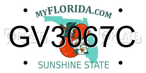 GV3067C Florida License Plate