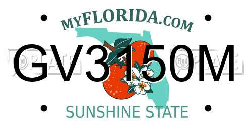 GV3150M Florida License Plate