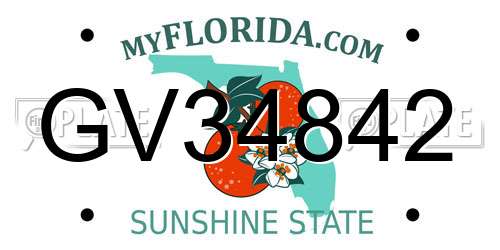 GV34842 Florida License Plate