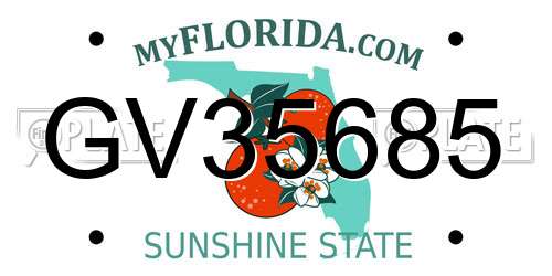 GV35685 Florida License Plate