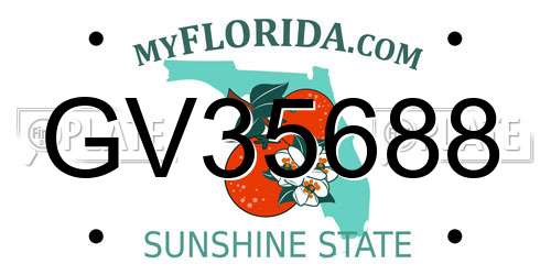 GV35688 Florida License Plate