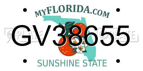 GV38655 Florida License Plate