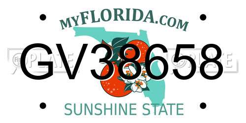 GV38658 Florida License Plate