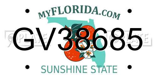 GV38685 Florida License Plate