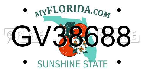 GV38688 Florida License Plate