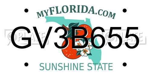 GV3B655 Florida License Plate