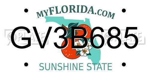 GV3B685 Florida License Plate
