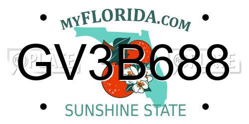 GV3B688 Florida License Plate