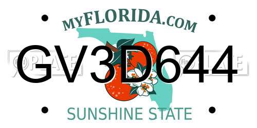 GV3D644 Florida License Plate