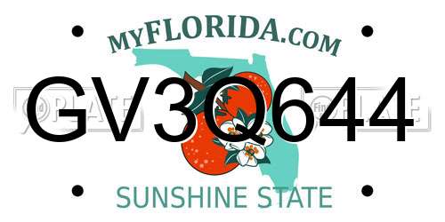 GV3Q644 Florida License Plate