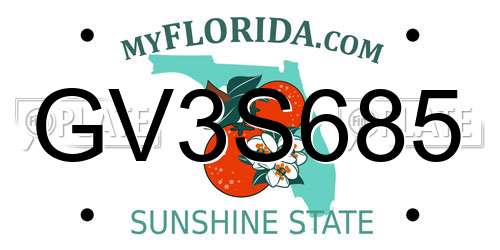 GV3S685 Florida License Plate