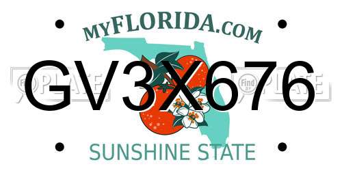 GV3X676 Florida License Plate