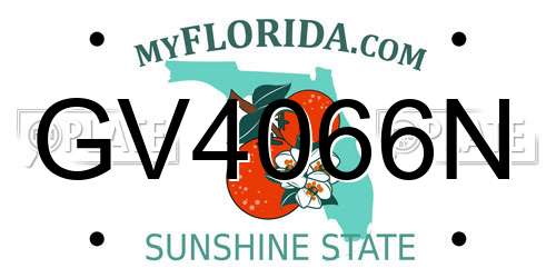GV4066N Florida License Plate
