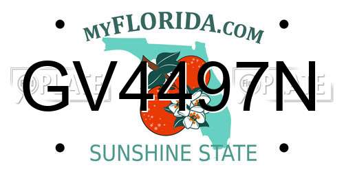 GV4497N Florida License Plate