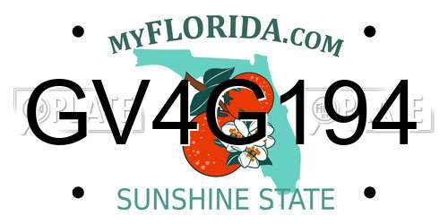 GV4G194 Florida License Plate
