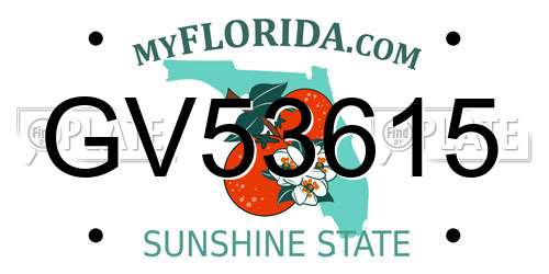 GV53615 Florida License Plate