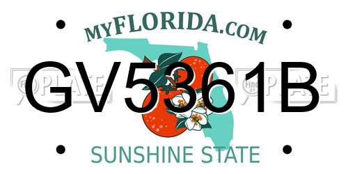GV5361B Florida License Plate