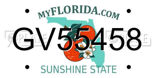 GV55458 Florida License Plate