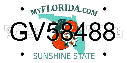 GV58488 Florida License Plate