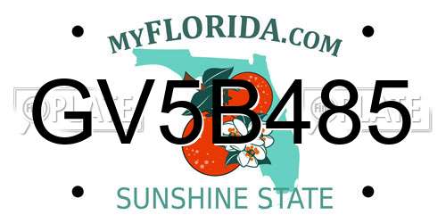 GV5B485 Florida License Plate