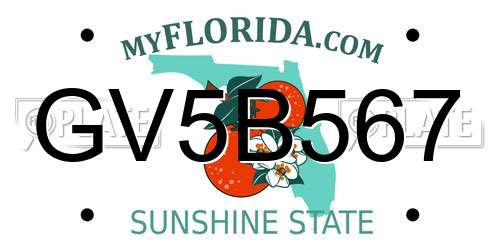 GV5B567 Florida License Plate