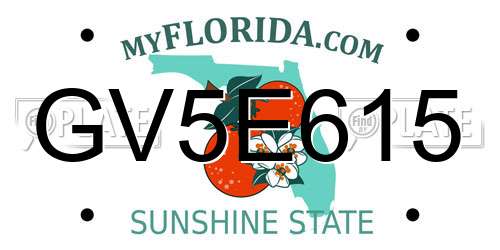 GV5E615 Florida License Plate
