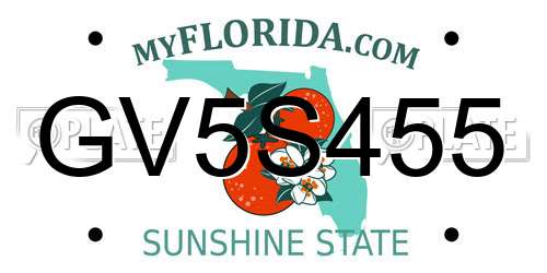GV5S455 Florida License Plate