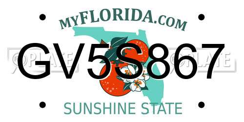 GV5S867 Florida License Plate