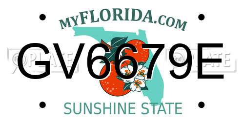 GV6679E Florida License Plate