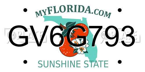 GV6G793 Florida License Plate