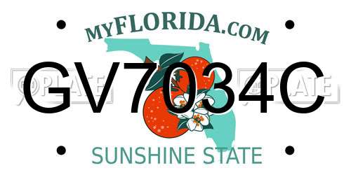 GV7034C Florida License Plate