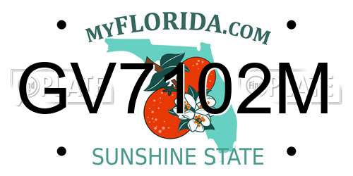 GV7102M Florida License Plate