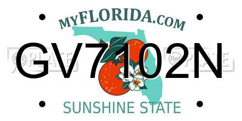 GV7102N Florida License Plate