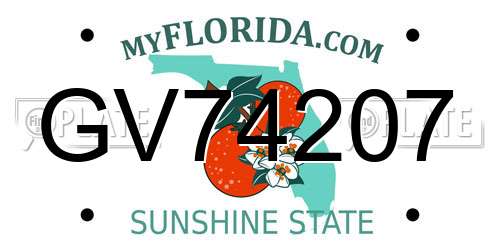 GV74207 Florida License Plate