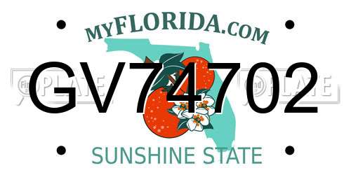 GV74702 Florida License Plate