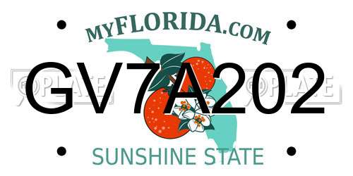 GV7A202 Florida License Plate