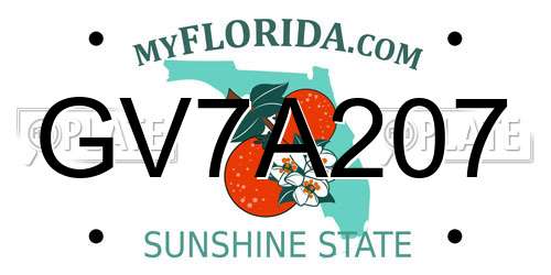 GV7A207 Florida License Plate
