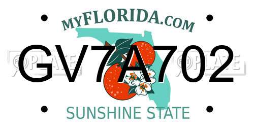 GV7A702 Florida License Plate