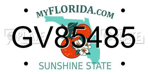 GV85485 Florida License Plate