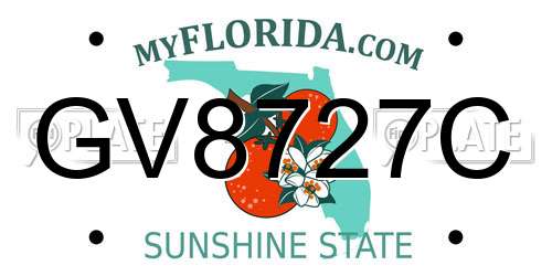 GV8727C Florida License Plate