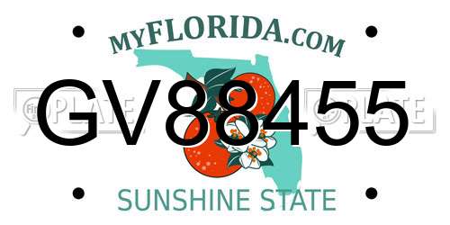 GV88455 Florida License Plate