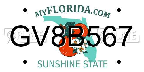 GV8B567 Florida License Plate