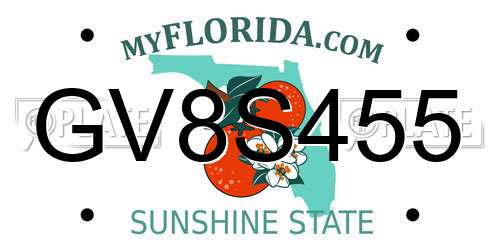 GV8S455 Florida License Plate