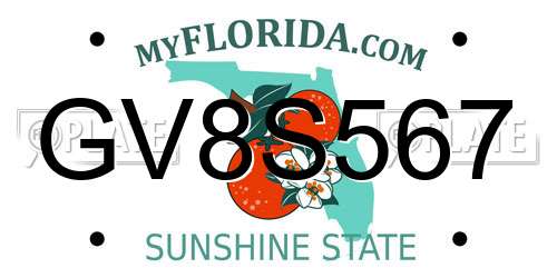 GV8S567 Florida License Plate